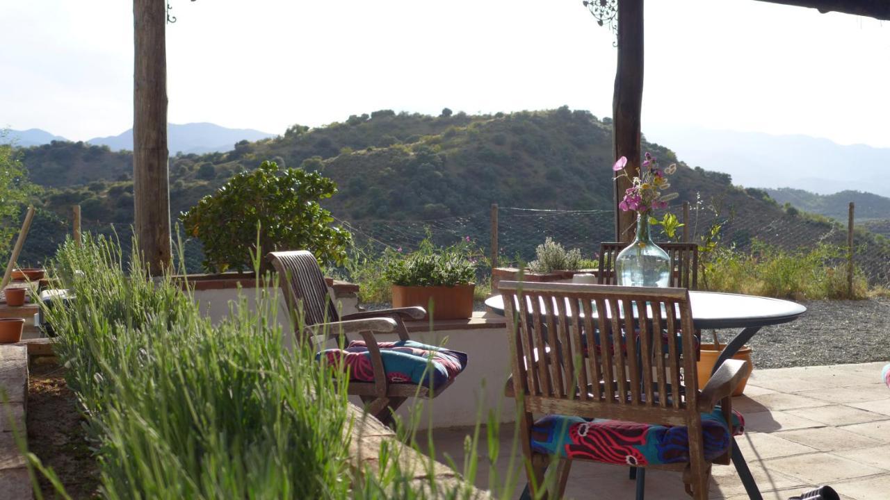 كوين Corazon Andaluz Guesthouse المظهر الخارجي الصورة
