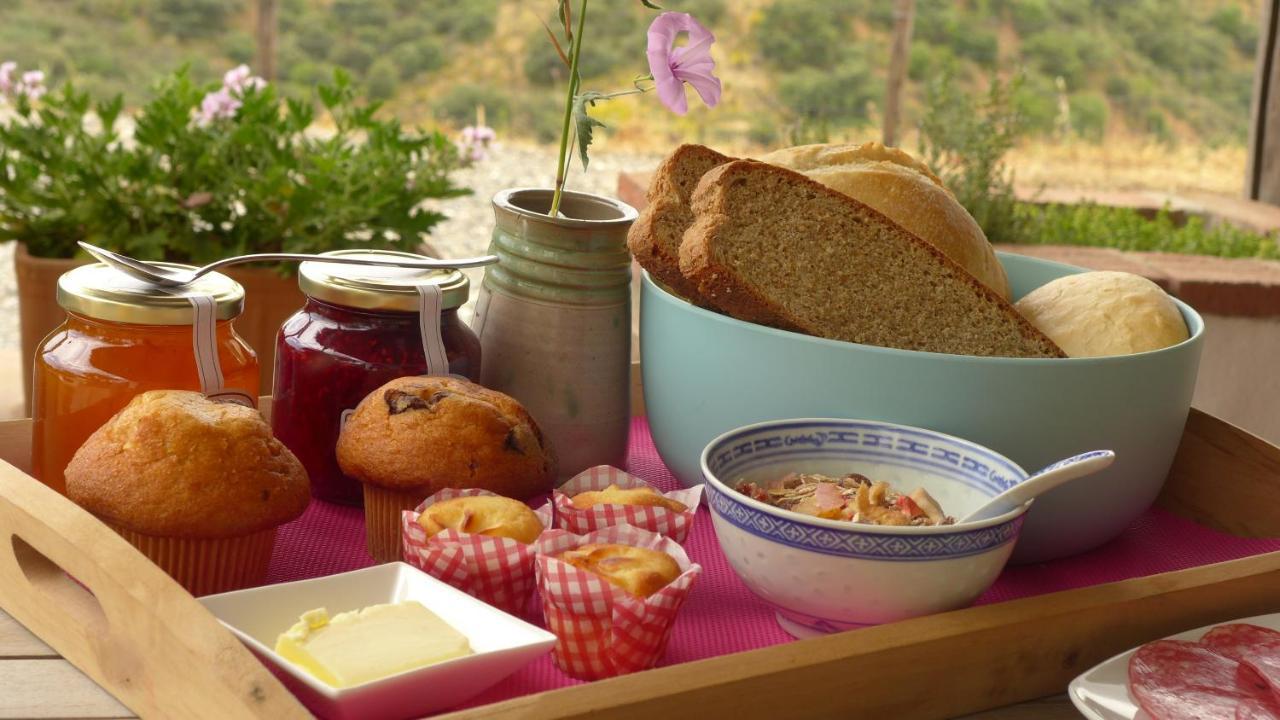 كوين Corazon Andaluz Guesthouse المظهر الخارجي الصورة