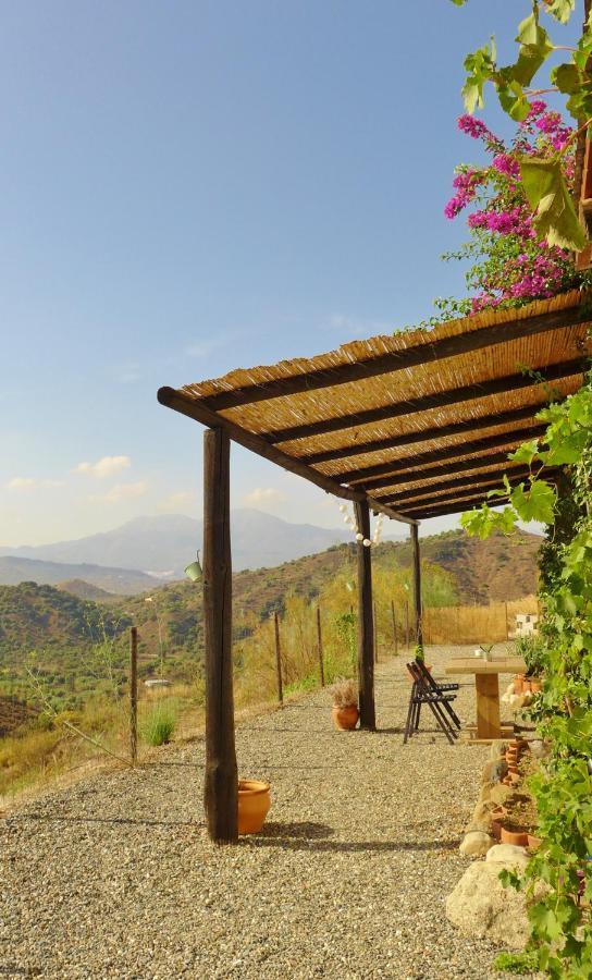 كوين Corazon Andaluz Guesthouse المظهر الخارجي الصورة