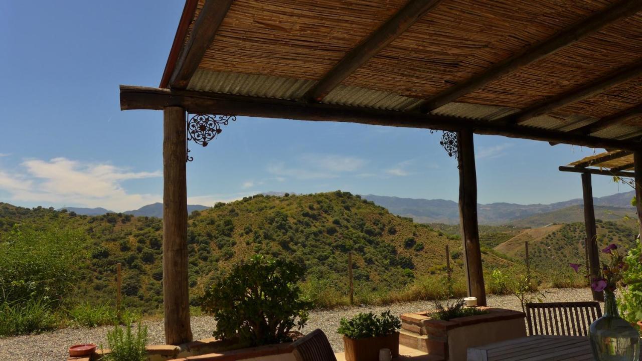 كوين Corazon Andaluz Guesthouse المظهر الخارجي الصورة