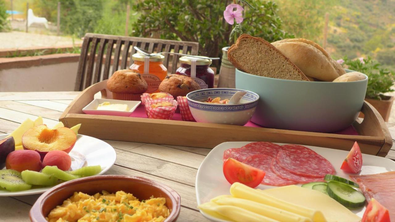 كوين Corazon Andaluz Guesthouse المظهر الخارجي الصورة