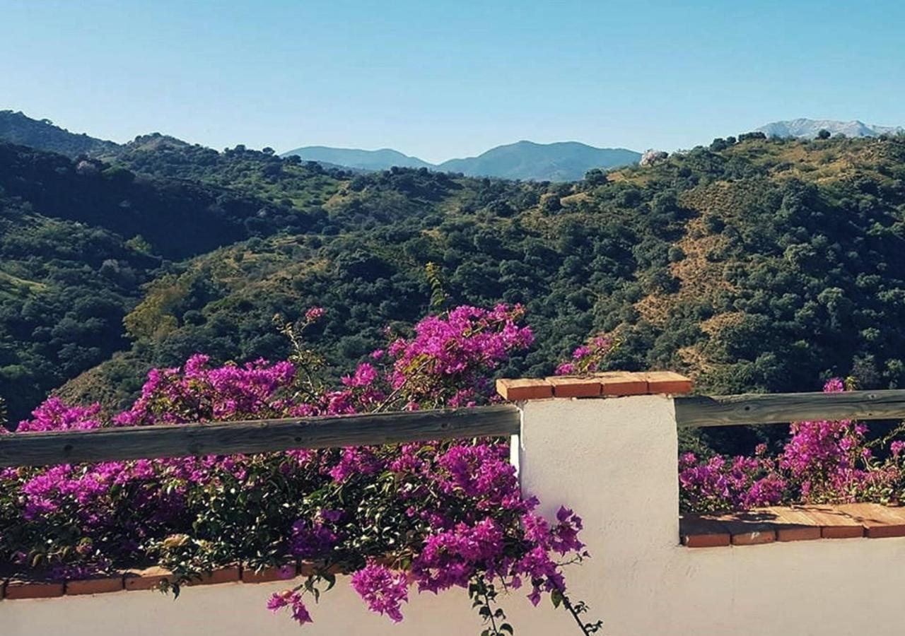 كوين Corazon Andaluz Guesthouse المظهر الخارجي الصورة