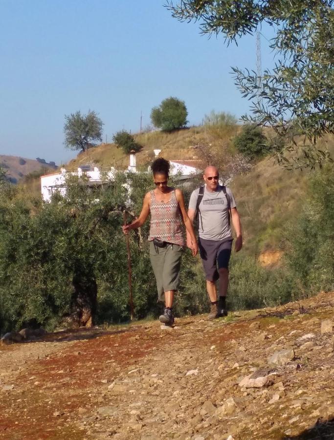 كوين Corazon Andaluz Guesthouse المظهر الخارجي الصورة