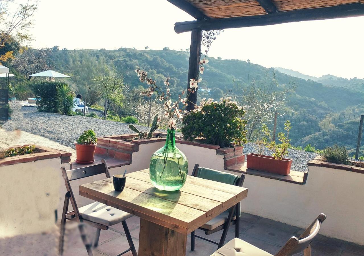 كوين Corazon Andaluz Guesthouse المظهر الخارجي الصورة