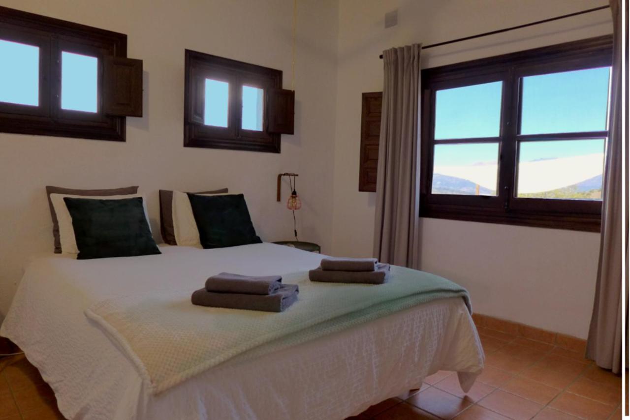 كوين Corazon Andaluz Guesthouse المظهر الخارجي الصورة